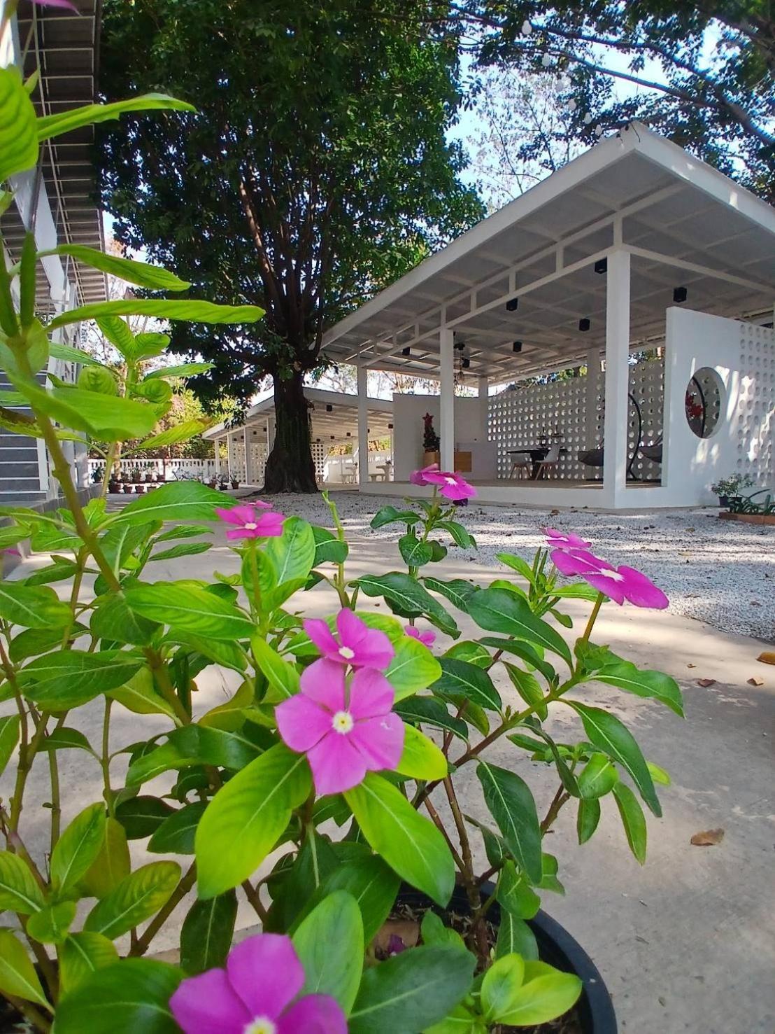 ฮัก ณ หนองคายโคซี่วิลล์ Hug Na Nongkhai Cozy Ville Exterior photo